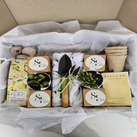 Kitchen Garden Herb Starter Gift Box Grow Fresh Basil Mint Oregano & Rosemary