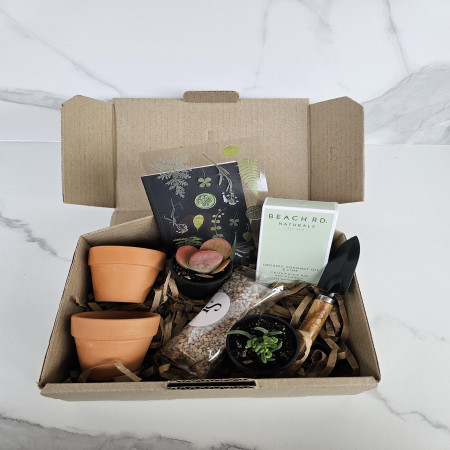 Succulent Starter Kit Live Plants Terracotta Pots & Garden Journal