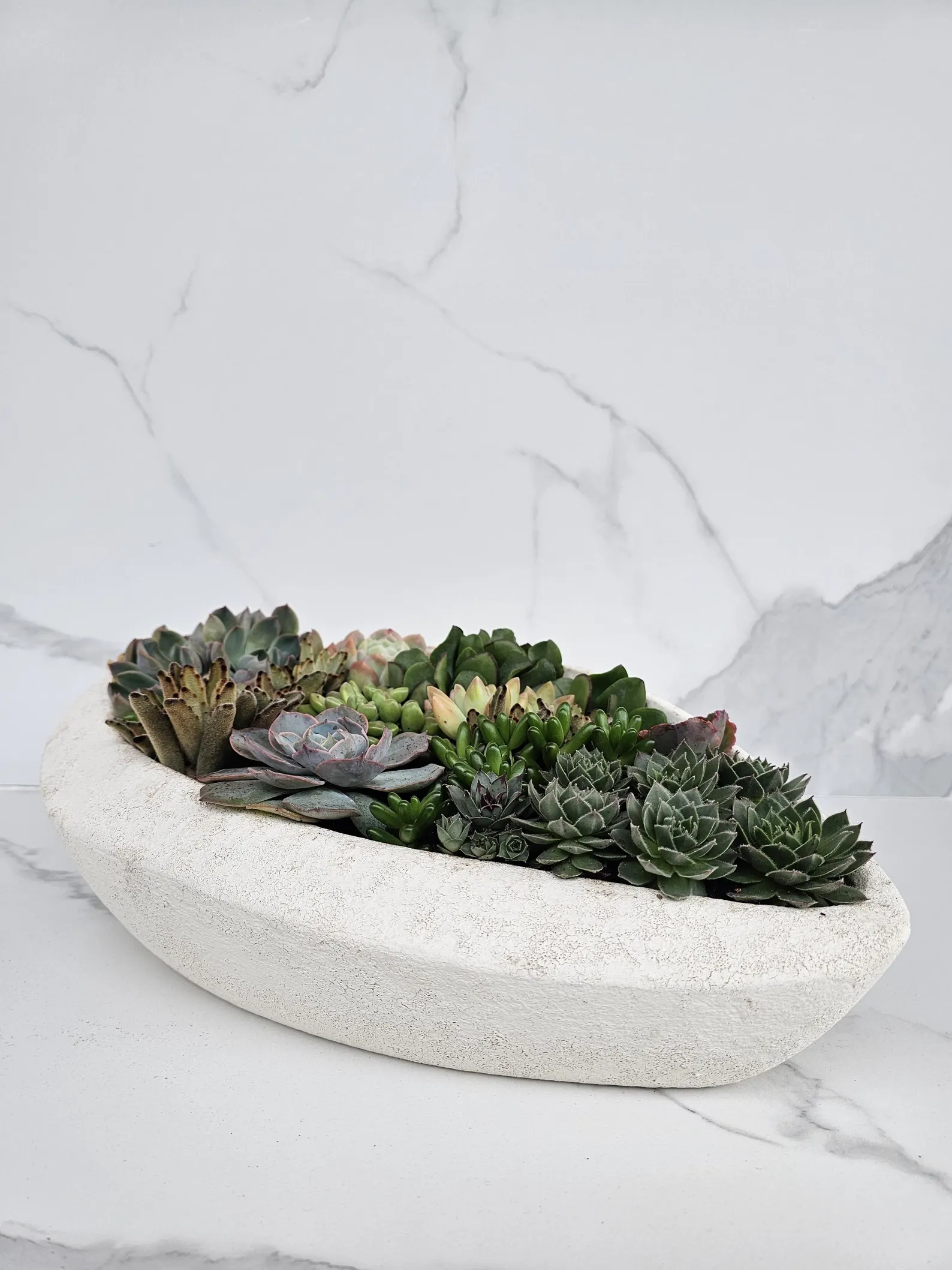 Modern White Succulent Planter Elliptical Coffee Table Centerpiece
