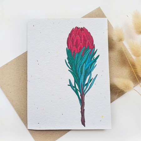 Plantable Native Waratah Card