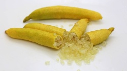 Finger Lime Golden Nugget Grafted Tree