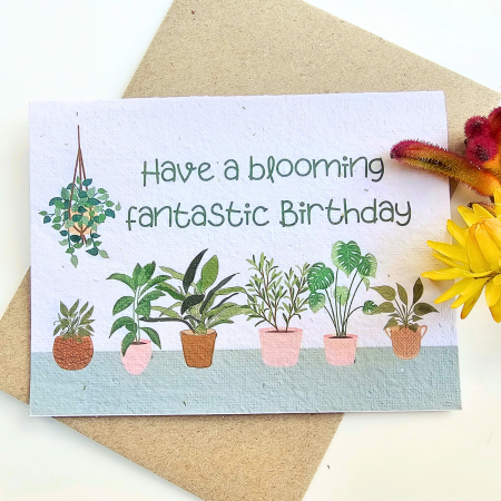Plantable Blooming Birthday