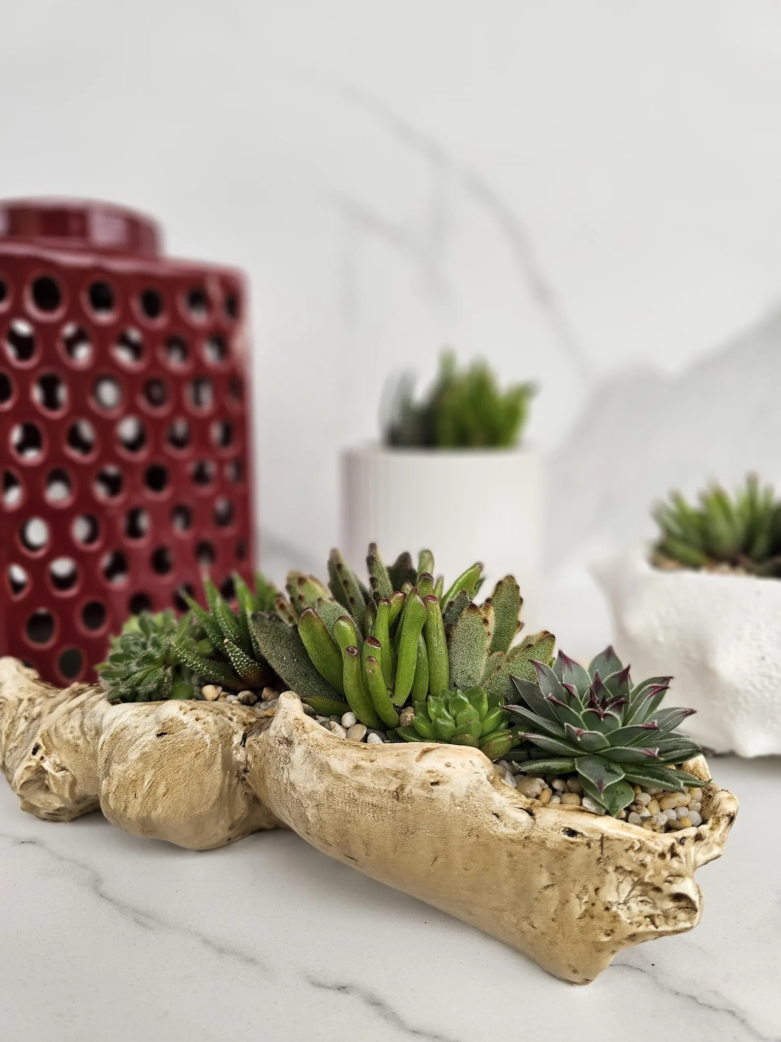 Live Succulent Arrangement Rustic Driftwood Planter Natural Home Decor