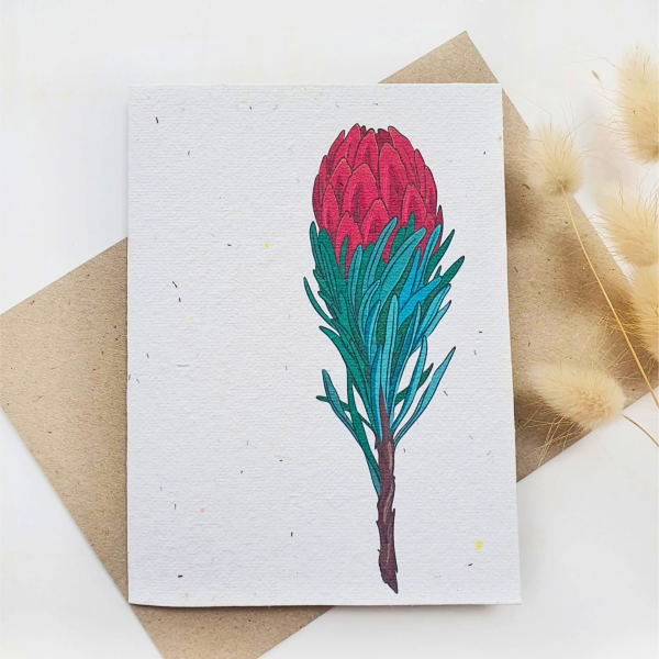 Plantable Native Waratah Card