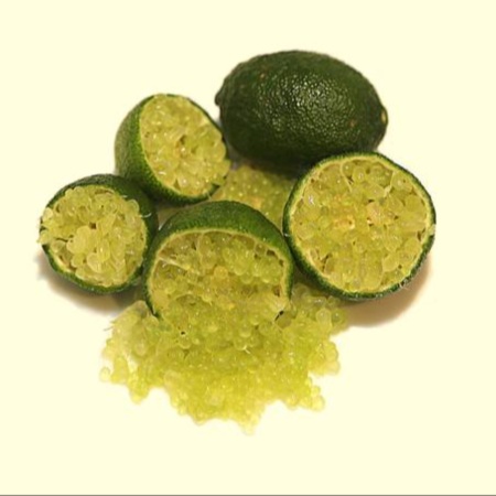 Finger Lime Green Orb Grafted Tree