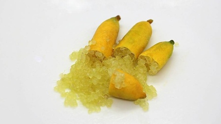 Finger Lime Yellow Lemonade Grafted Tree