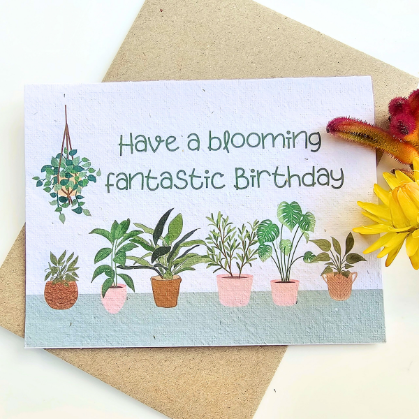 Plantable Blooming Birthday