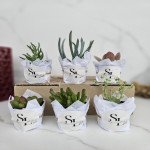 Giftset