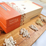 Native Seed Box