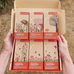 Seed Bomb Maxi Gift Set (6 pack)