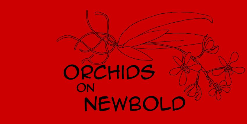 Orchids On Newbold